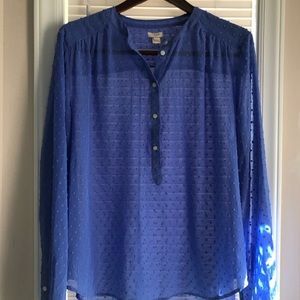 J Crew Periwinkle Blouse Size XL